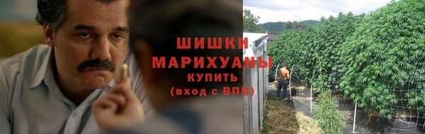 ГАЛЛЮЦИНОГЕННЫЕ ГРИБЫ Нефтегорск