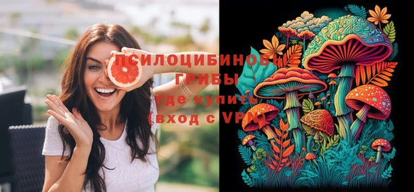 PSILOCYBIN Нея