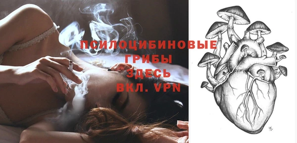 ГАЛЛЮЦИНОГЕННЫЕ ГРИБЫ Нефтегорск