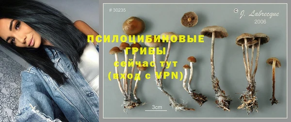 ГАЛЛЮЦИНОГЕННЫЕ ГРИБЫ Нефтегорск